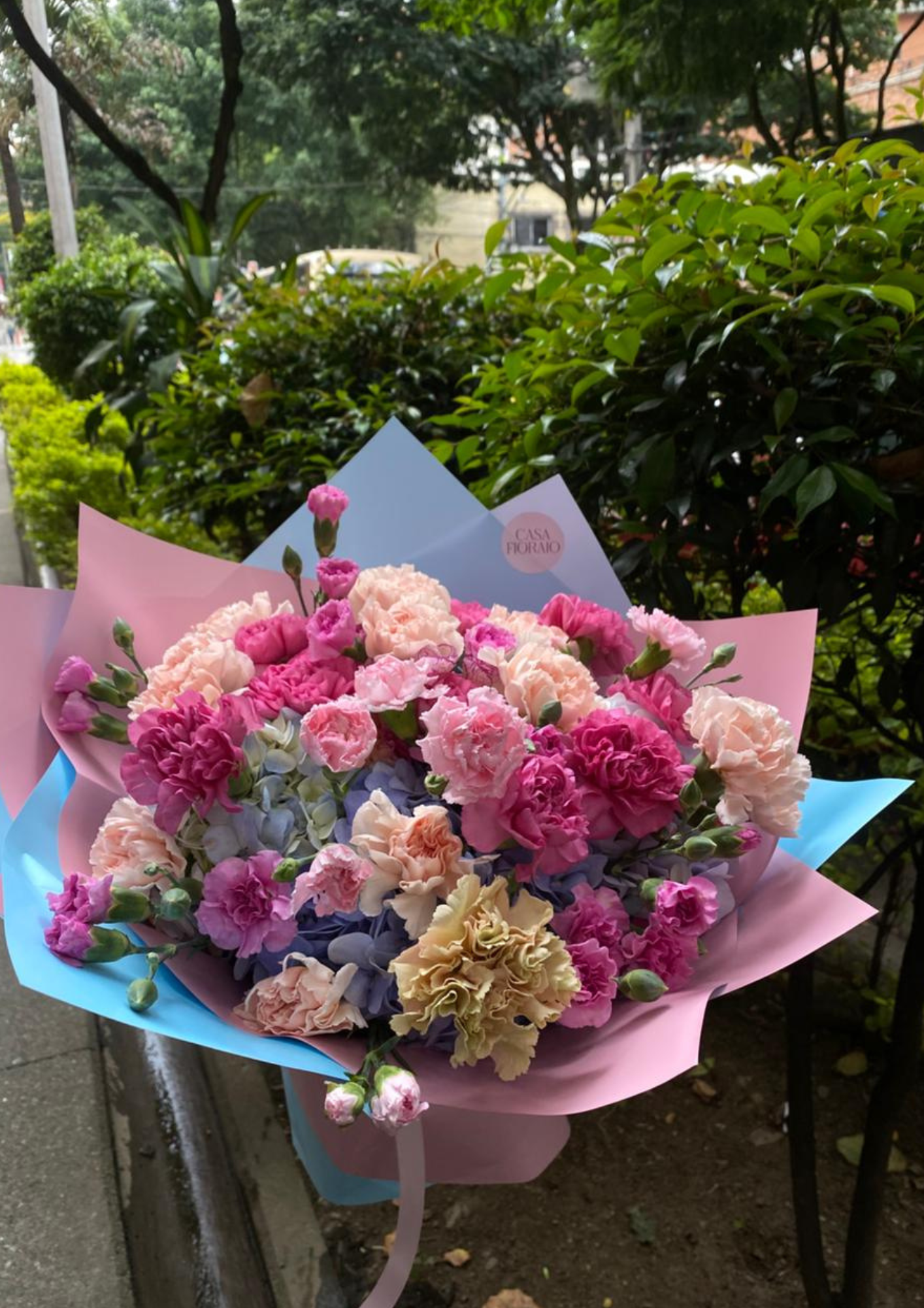 Bouquet hortensia y claveles